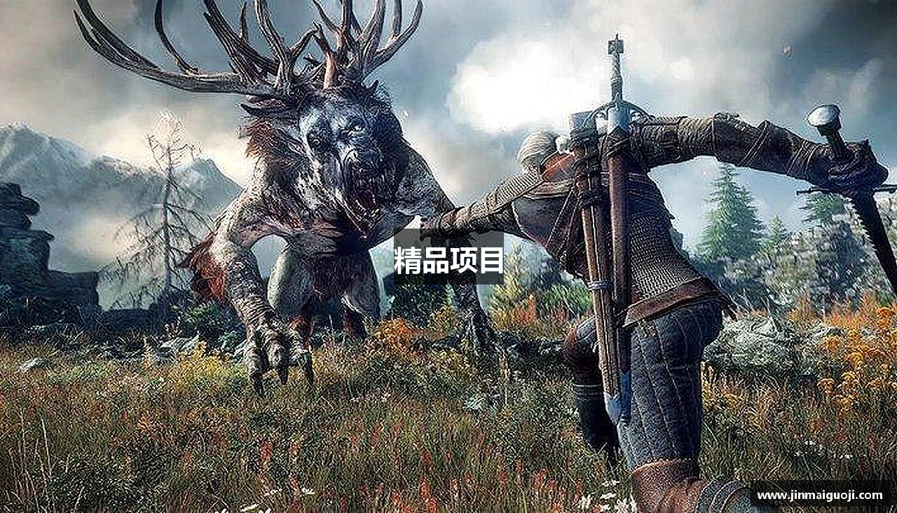 精品项目